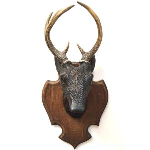 Hunting Trophy Black Forest Deer Head Carved Wood