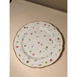 Porcelain Plate From Nyon (swiss) 18th Century.