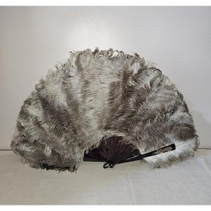 Ostrich Feather And Tortoiseshell Fan With Its Box. "falcon" In Paris