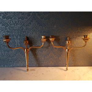 Pair Of Louis XVI Style Wall Chandeliers In Gilt Bronze, 19th Century. 