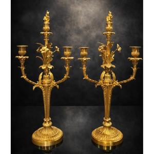 Pair Of Candelabra -bronze - Houbedine Bronze Cast - France - 19th Century 