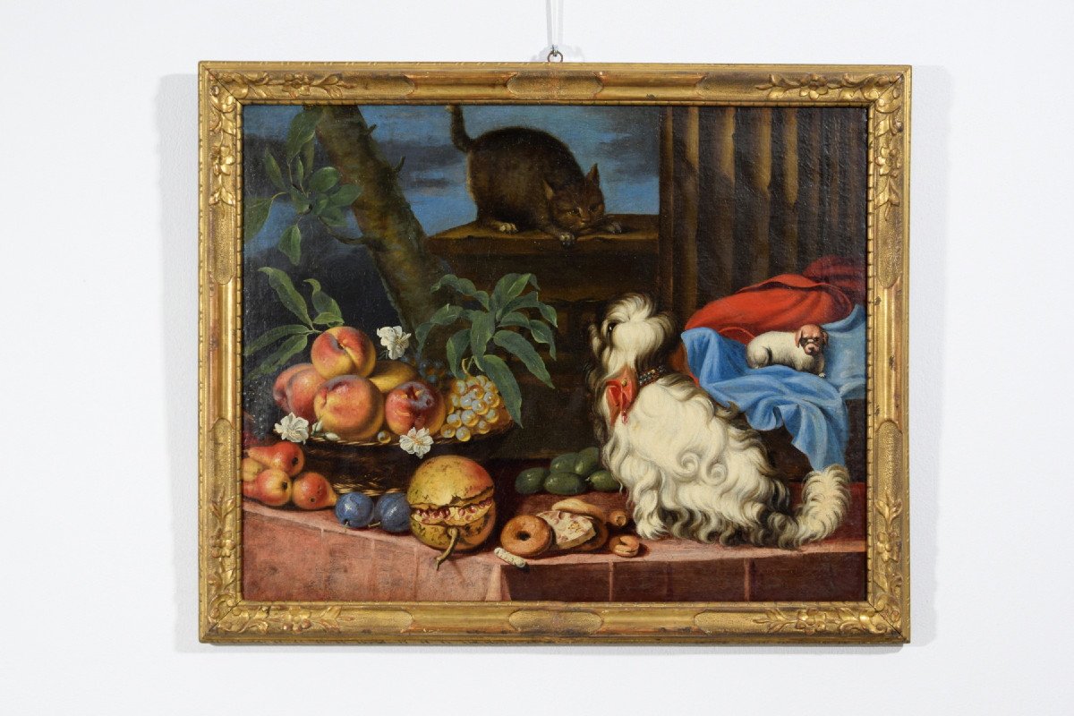 Natura morta con frutta, cani e un gatto, Italia, XVII secolo-photo-3