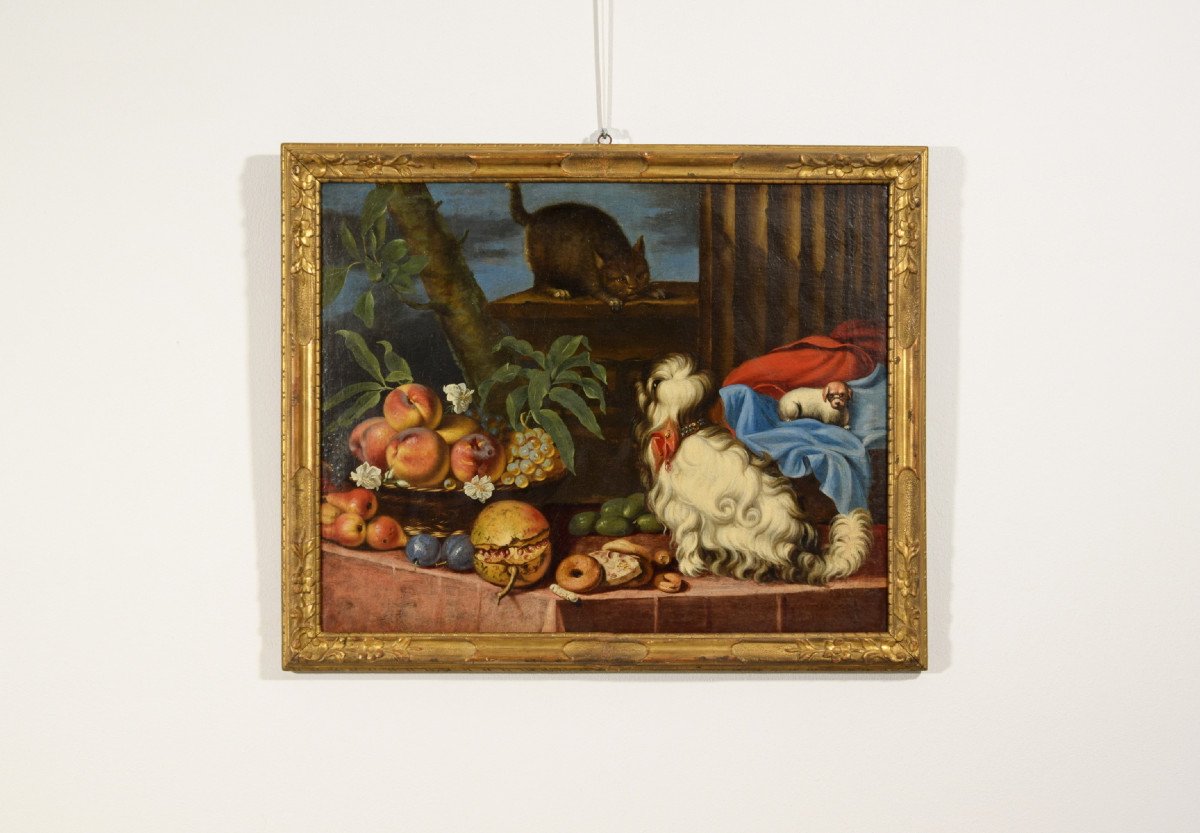 Natura morta con frutta, cani e un gatto, Italia, XVII secolo-photo-4