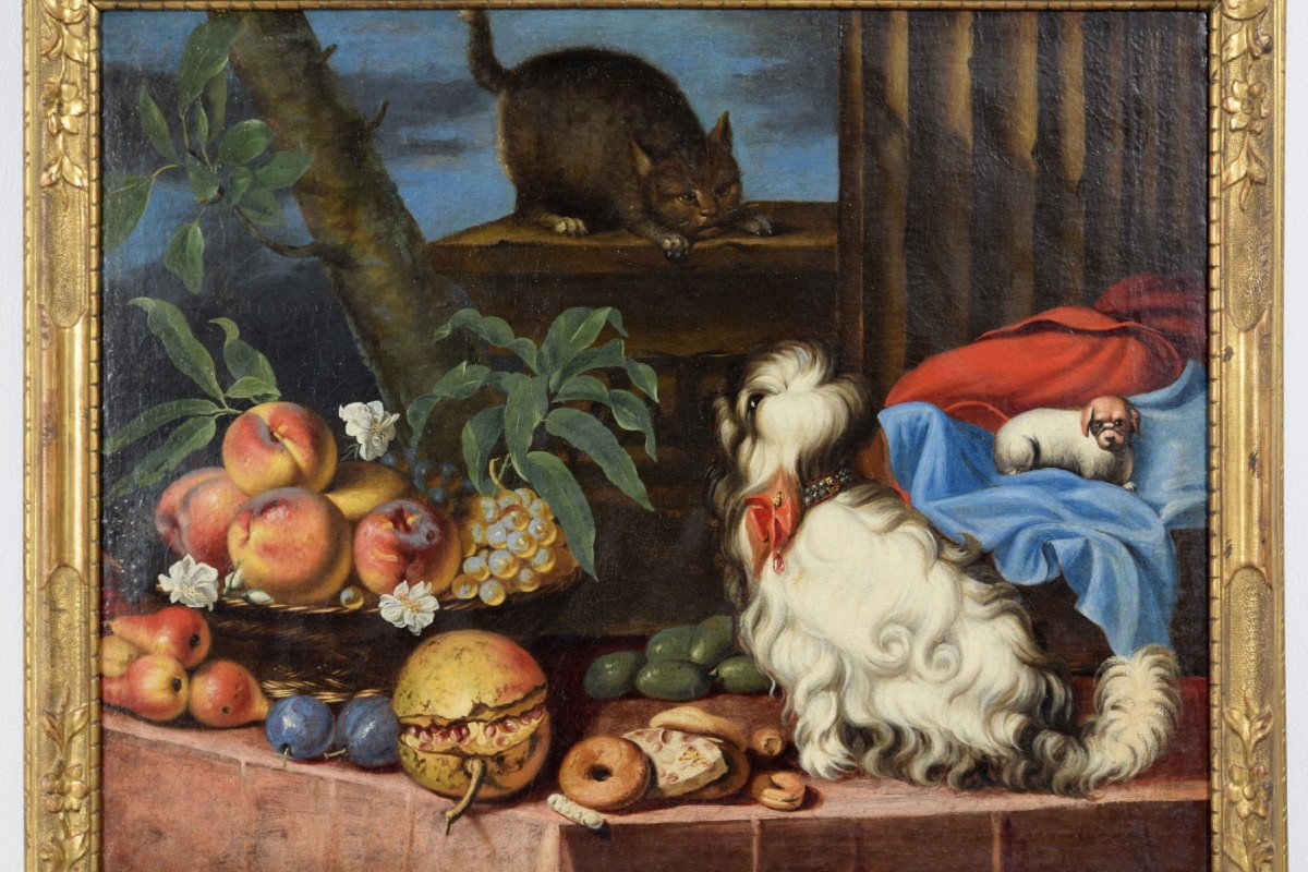 Natura morta con frutta, cani e un gatto, Italia, XVII secolo-photo-1