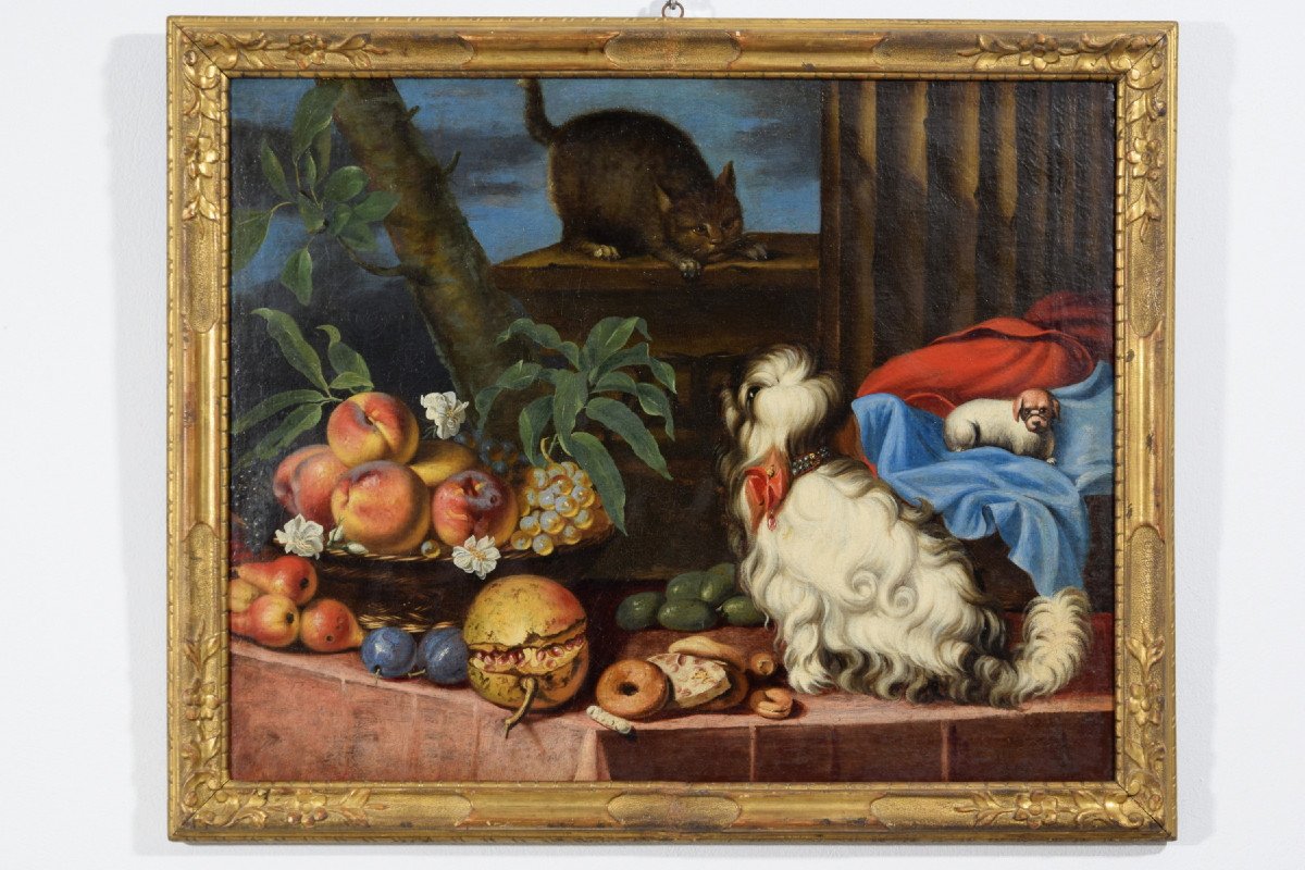 Natura morta con frutta, cani e un gatto, Italia, XVII secolo-photo-8