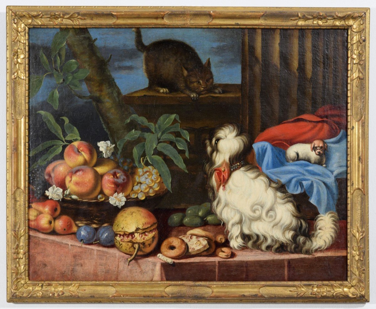 Natura morta con frutta, cani e un gatto, Italia, XVII secolo