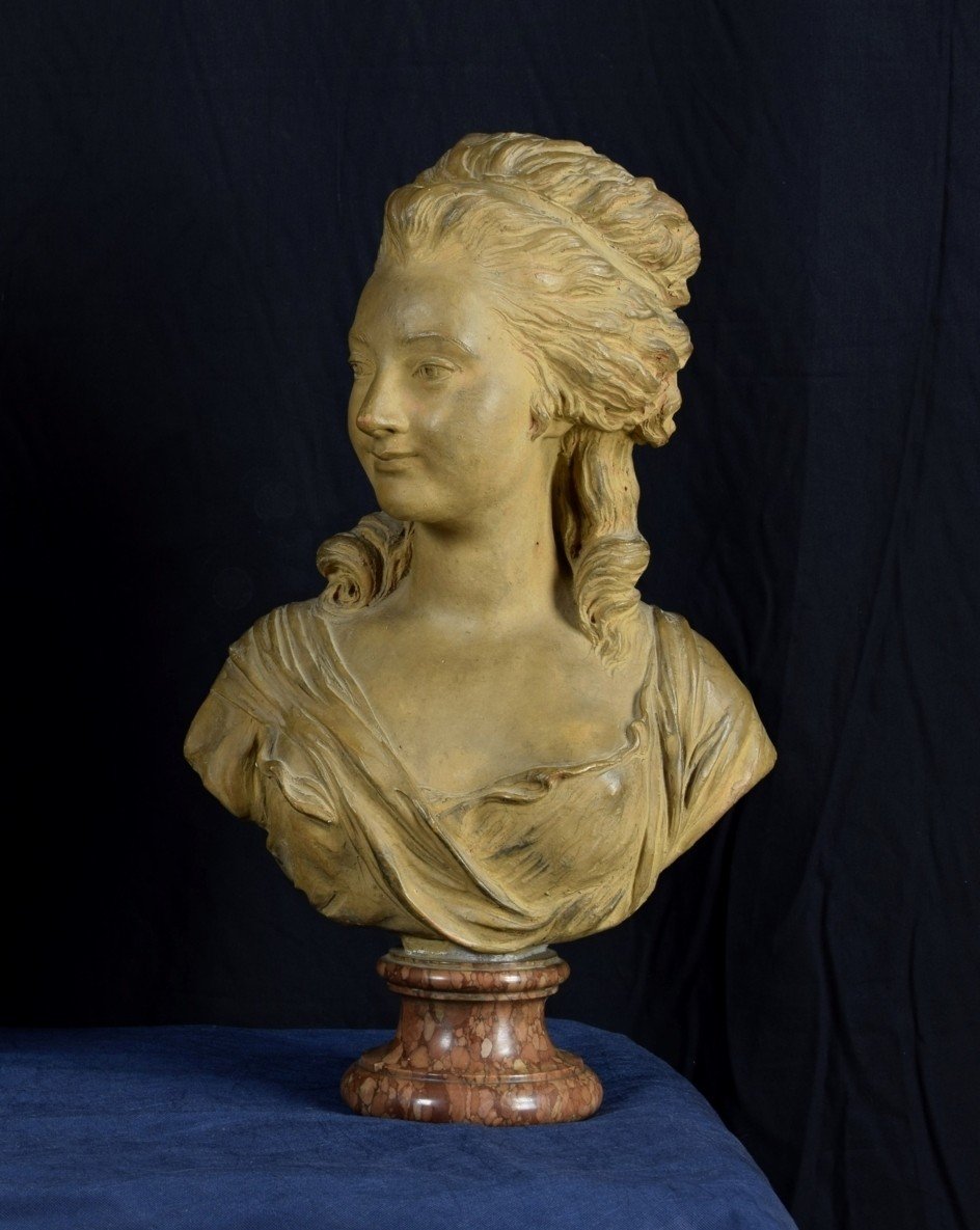 Busto in terracotta raffigurante nobildonna, base in marmo, Francia XIX secolo