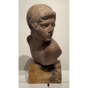 Marble Bust Of A Young Man. Constant Roux.
