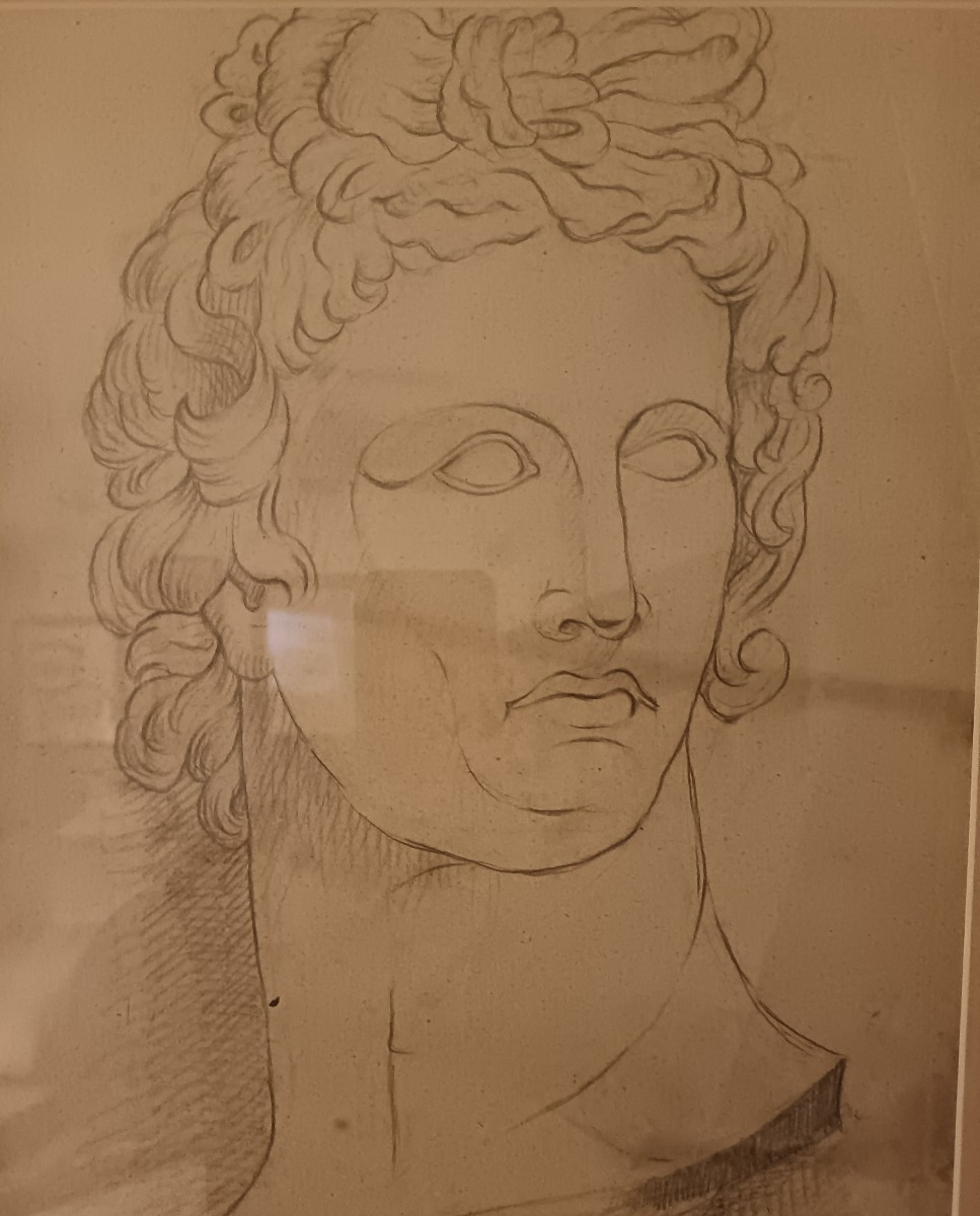 Disegno a carboncino 800 Antino-photo-2