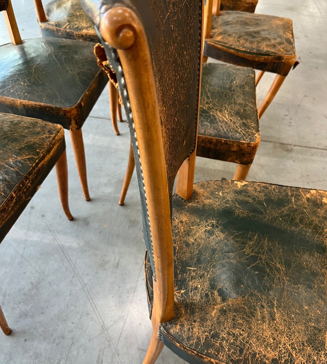 8 sedie seduta in pelle del 1930/40 Osvaldo Borsani-photo-5