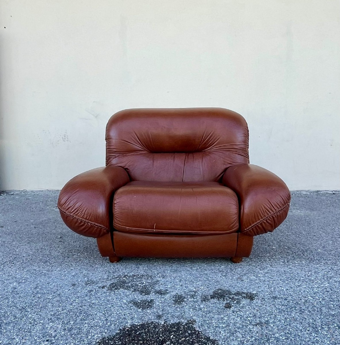 Coppia di poltrone vintage anni 70 Adriano Piazzesi