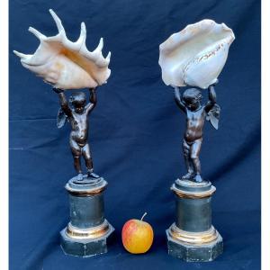 Cabinet Of Curiosities Bronze Putti