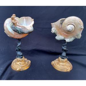 Paire Coquillages turbo marmoratus Cabinet De Curiosité Bronze doré patine puto