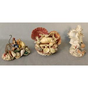 Suite Of 3 Compositions In Sea Shells
