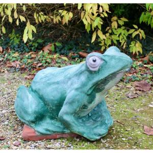 Pond Frog 