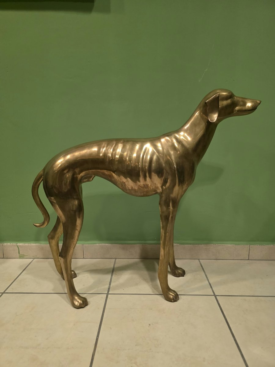 Levriero in Ottone-photo-3