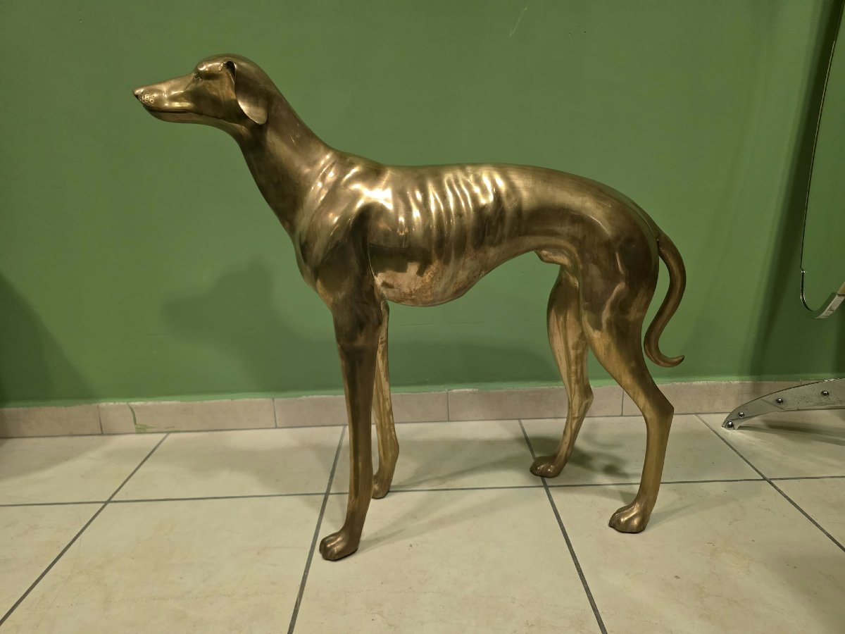 Levriero in Ottone-photo-4