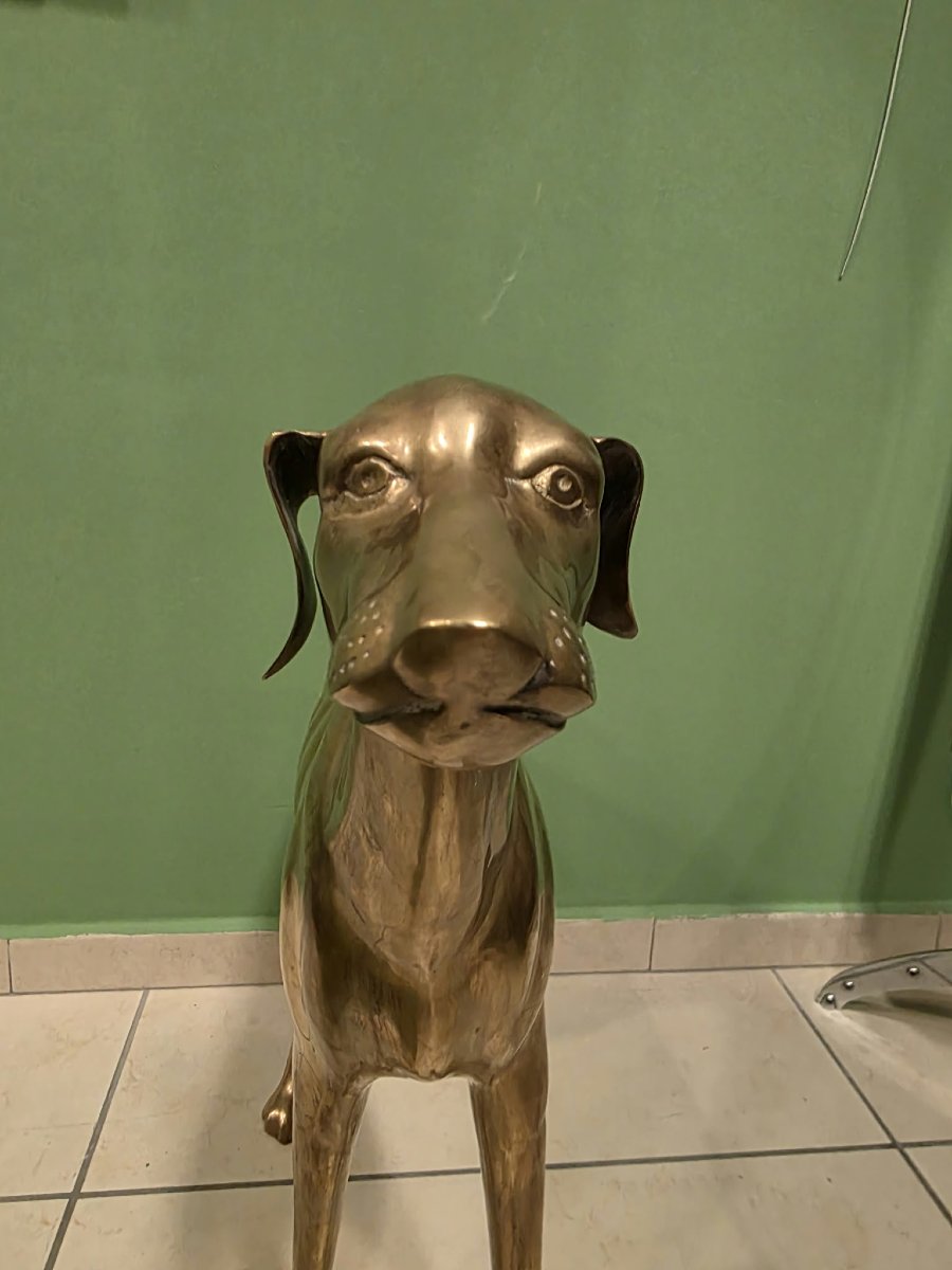 Levriero in Ottone-photo-3