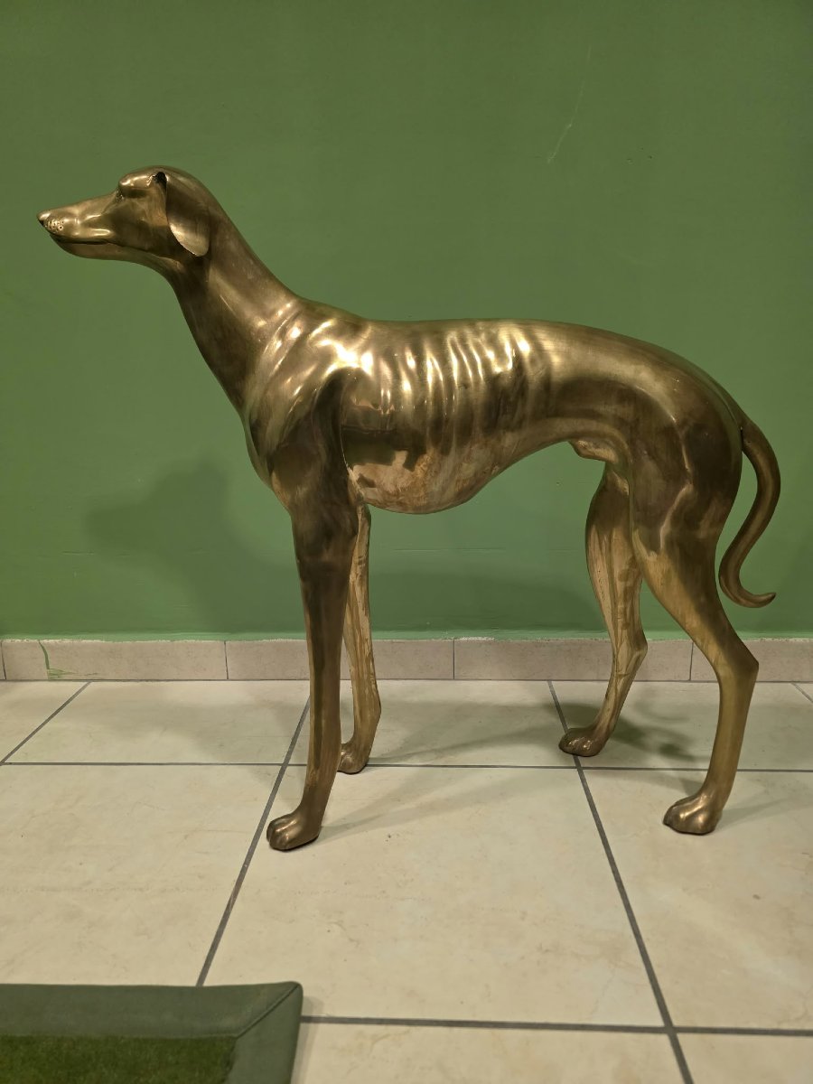 Levriero in Ottone-photo-4