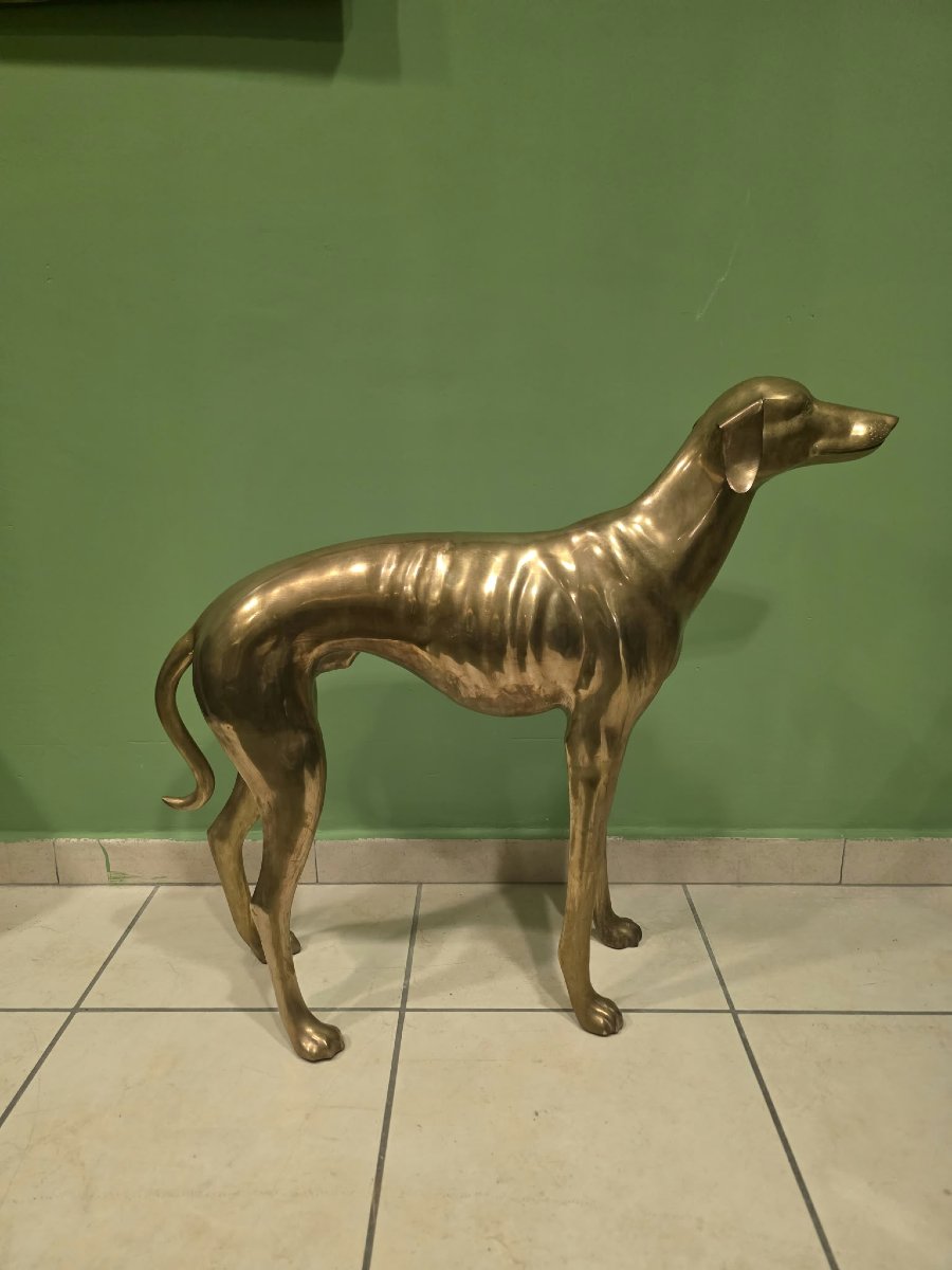 Levriero in Ottone