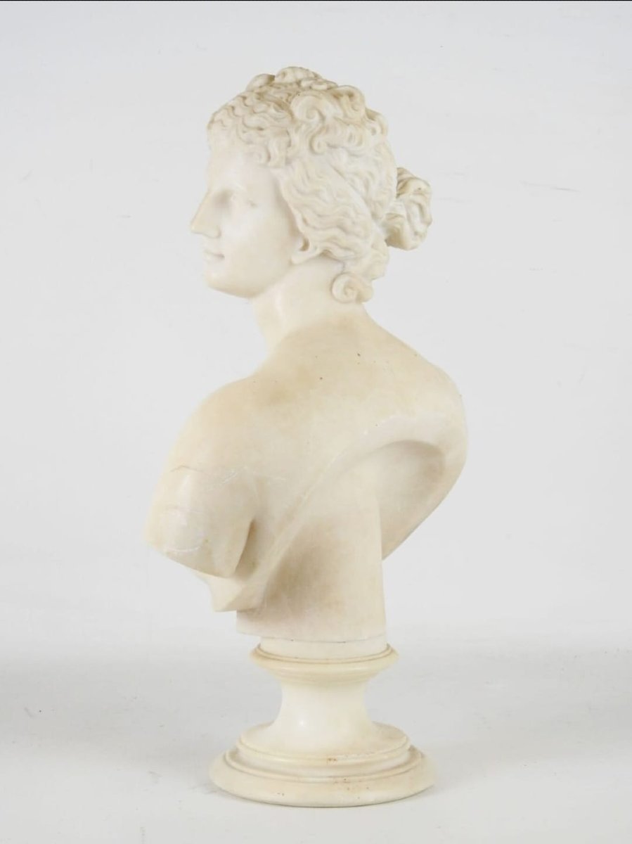 Busto neoclassico, "Venere de Medici" in marmo statuario, XVIII secolo-photo-2