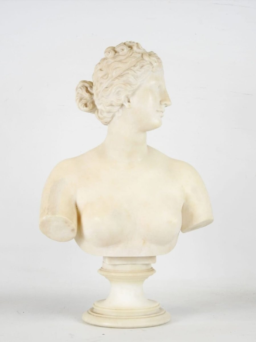 Busto neoclassico, "Venere de Medici" in marmo statuario, XVIII secolo-photo-3
