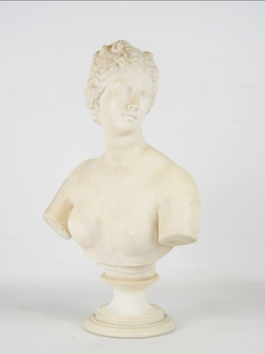 Busto neoclassico, "Venere de Medici" in marmo statuario, XVIII secolo-photo-4