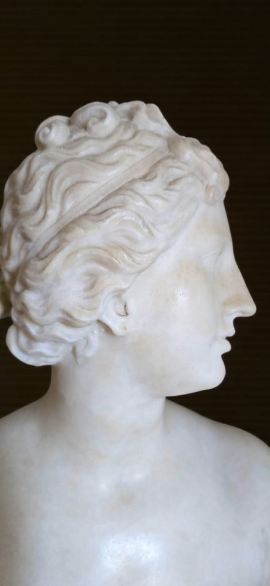 Busto neoclassico, "Venere de Medici" in marmo statuario, XVIII secolo-photo-4