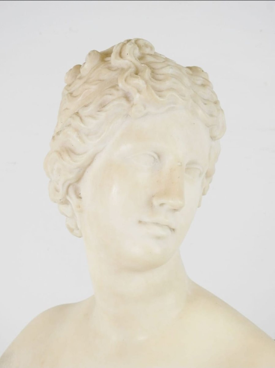 Busto neoclassico, "Venere de Medici" in marmo statuario, XVIII secolo-photo-5