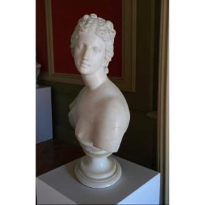 Busto neoclassico, "Venere de Medici" in marmo statuario, XVIII secolo