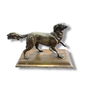 Bronze Spaniel On The Lookout After Pautrot