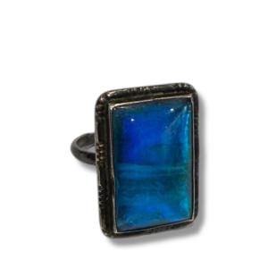 Silver Ring And Butterfly Wing