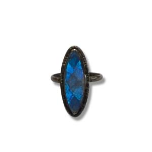 Silver Ring And Butterfly Wing  