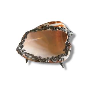 Silver-set Shell Baguier