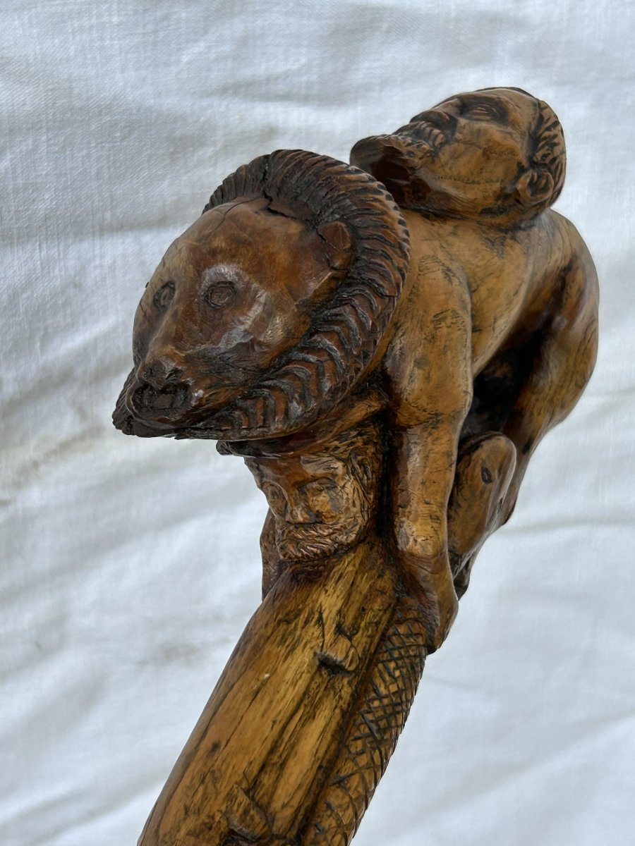 Bastone in legno di corbezzolo-photo-3