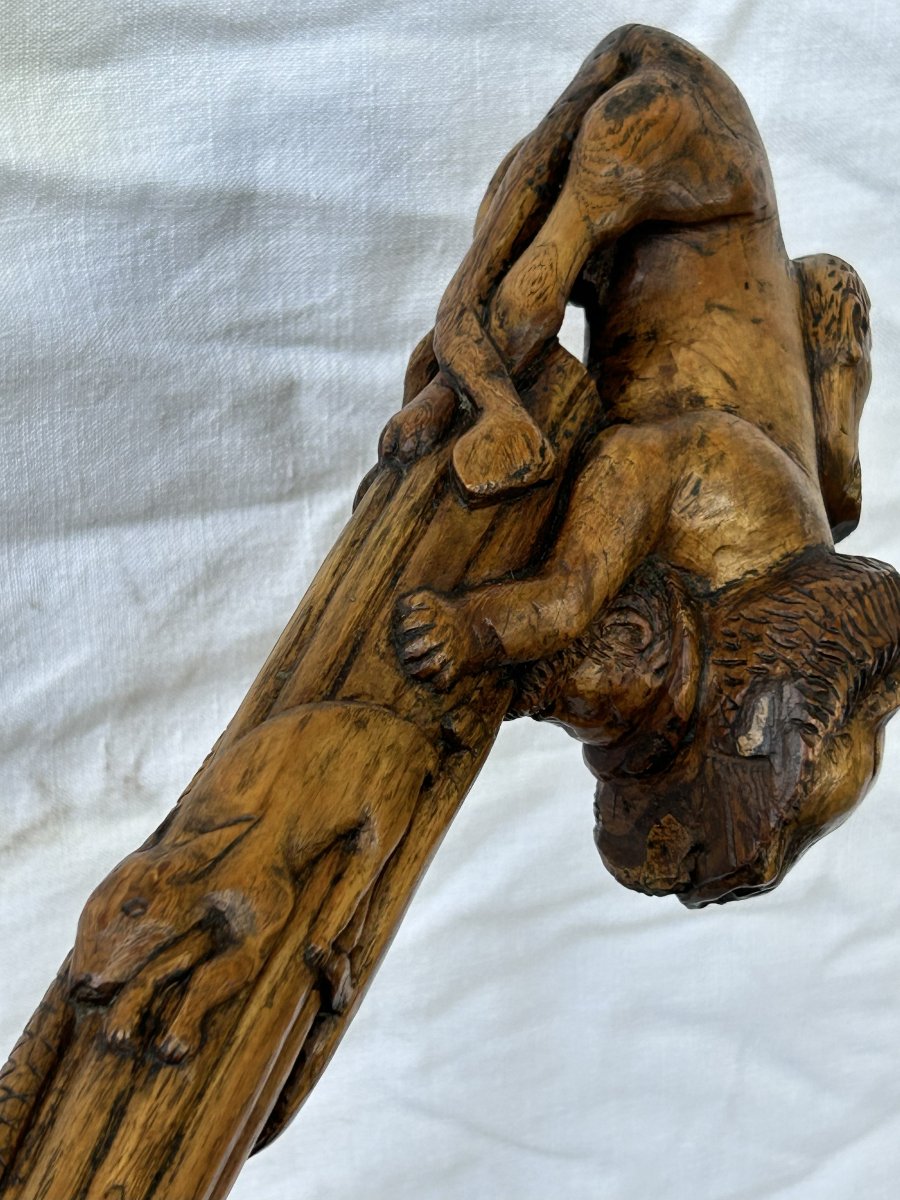 Bastone in legno di corbezzolo-photo-4