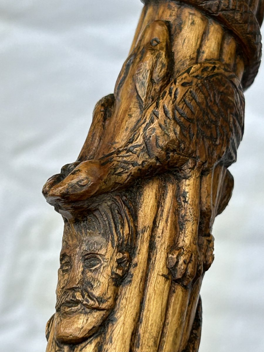 Bastone in legno di corbezzolo-photo-4