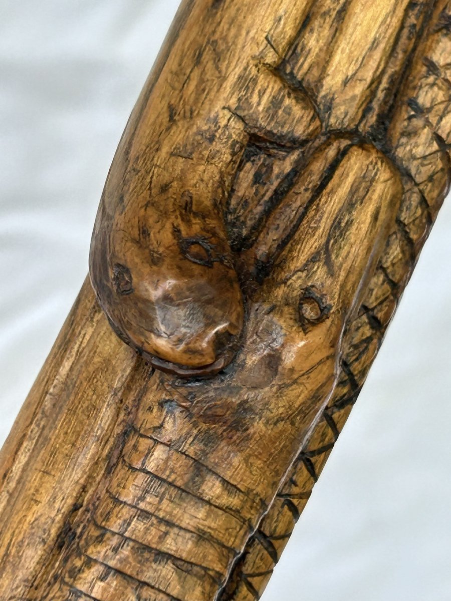 Bastone in legno di corbezzolo-photo-6