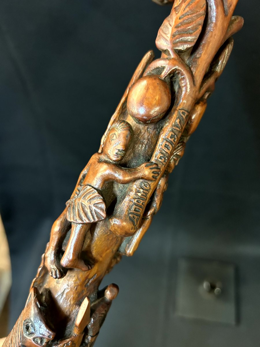 Bastone in legno di bosso -photo-3