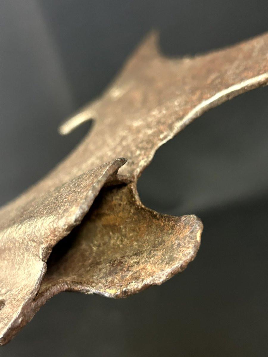 Alabarda in ferro forgiato-photo-4