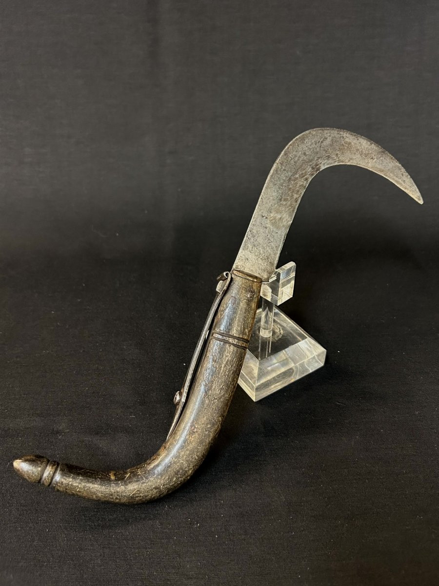Coltello roncola in ferro forgiato-photo-1