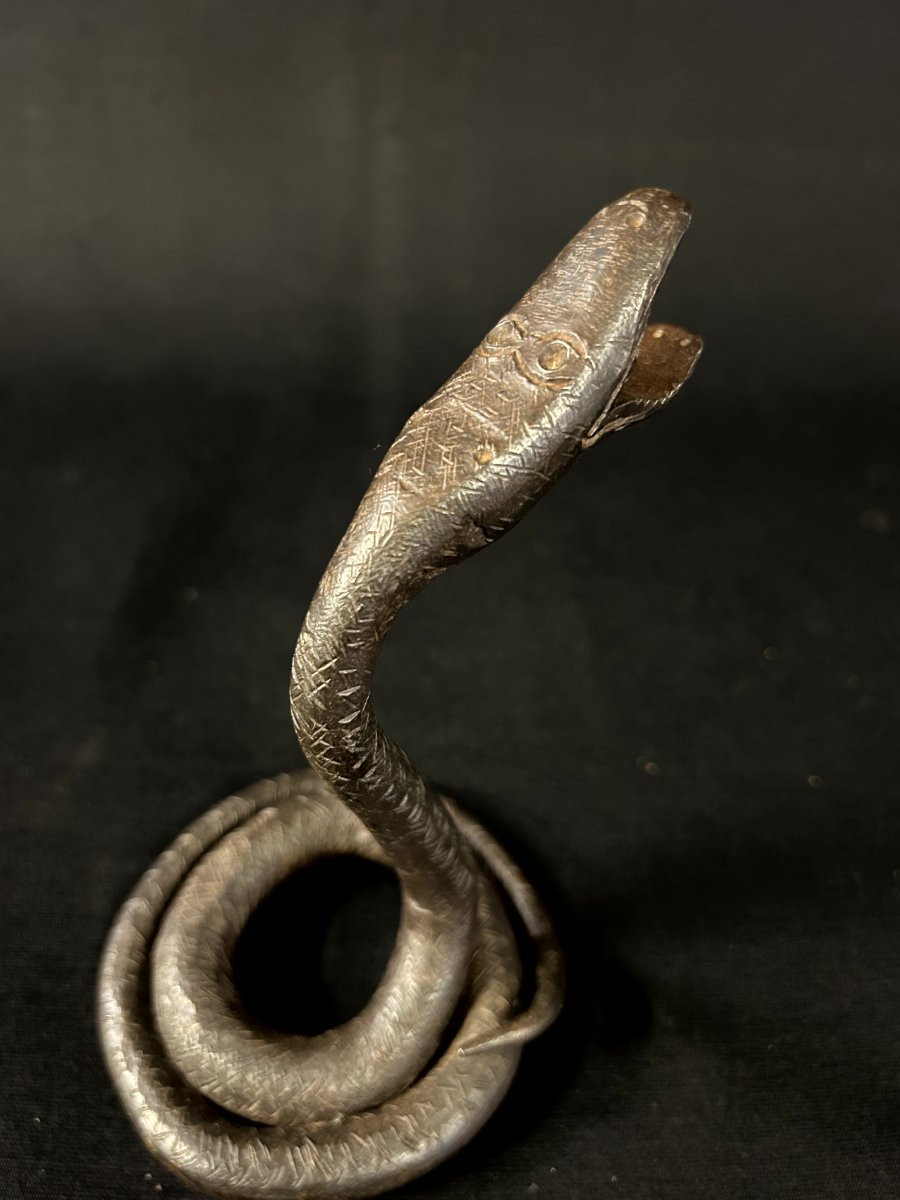 Serpente in ferro forgiato-photo-3