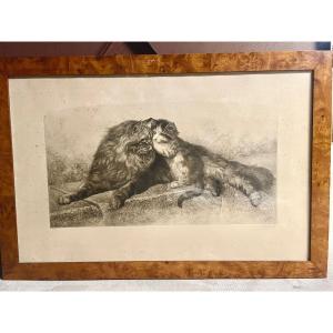 The Cat And Her Kitten