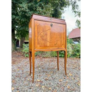 Louis XV Style Walnut Cabinet Secretary