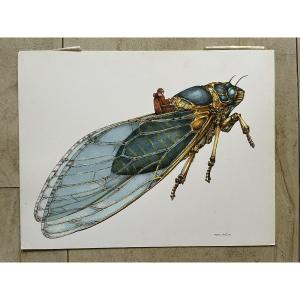 Large Original Drawing - Ink And Watercolor - Wolff Vehicles - Pilot - Steampunk