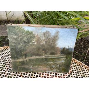 Summer Landscape With Lake