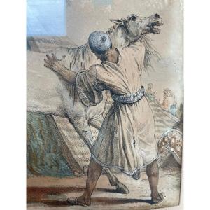 The Arabian Horse By Carle Vernet