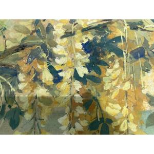Wisteria