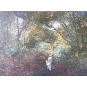 Picking Mushrooms In The Undergrowth