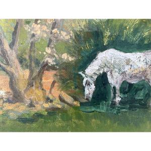 Landscape With White Horse